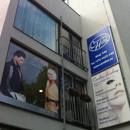 Carolina 페르누